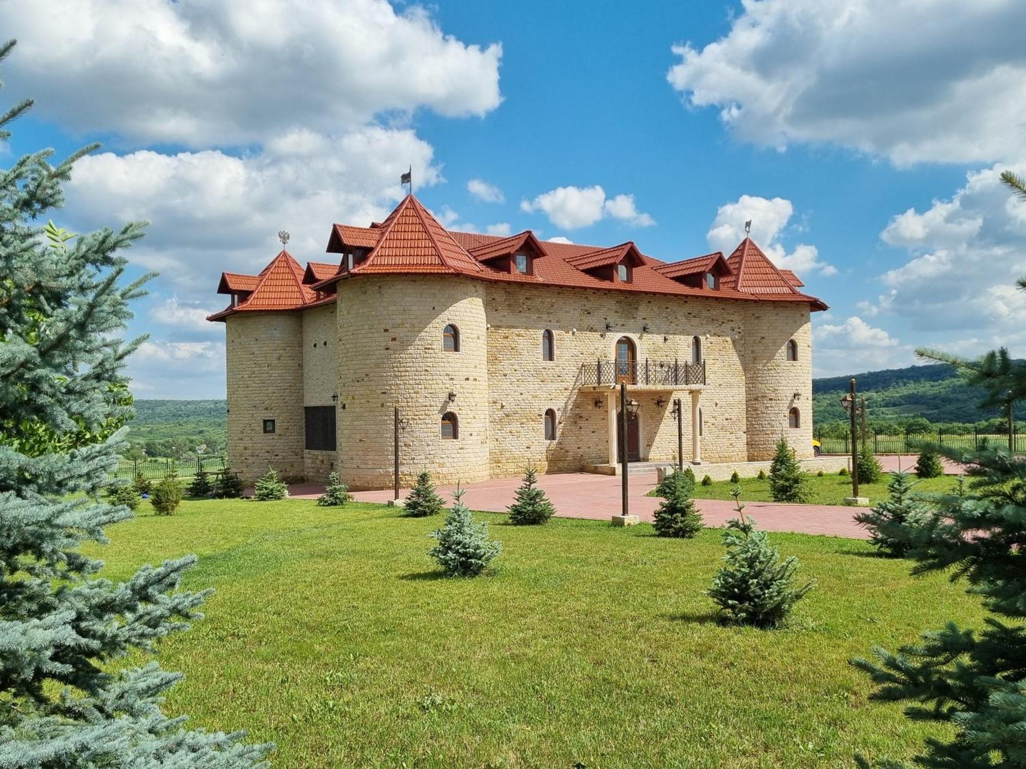 Castel Unghern Ivancea Exterior photo